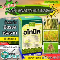 ? อโทนิค (โมโนไนโตรฟินอล) ขนาด 1ลิตร แตกยอดใหม่ ขยายผล ฟื้นต้น