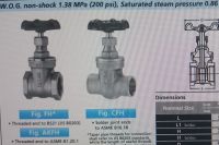 KITZ ประตูน้ำ ทองเหลือง 3/8 นิ้ว  Brass gate valve Type FH  จำนวน 1 ตัว