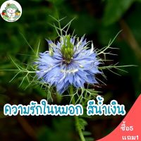 เมล็ดพันธุ์ ความรักในสายหมอกคละสี (ดอกไม้กินได้) 200 เมล็ด Love in a Mist (Nigella damascena) นำเข้าจากต่างประเทศ