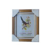 Picture Frame กรอบรูปไม้ 8*10 ขอบทอง กำมะหยี่ขาว PS401+B