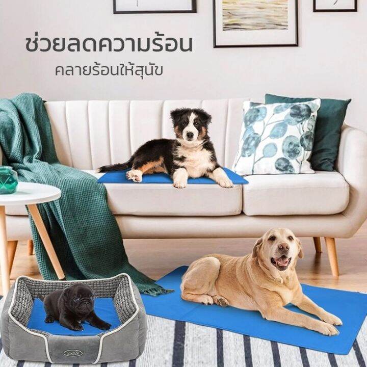 pet-cool-mat-ที่นอนสุนัข-แบบเย็น-ที่นอนแผ่นเจลเย็น-เย็นสบาย-รุ่นหนา-95x80cm-สำหรับสุนัขและแมว-สุนัข-เบาะรองนั่ง-รองนอน-ที่นอนหมา-petitz