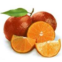 20 เมล็ดพันธุ์ เมล็ด มะนาวแดง ผลสีแดง Red Lemon Seeds Organic Fruit Seeds Bonsai Blood Orange Seeds อัตราการงอก 80-85%