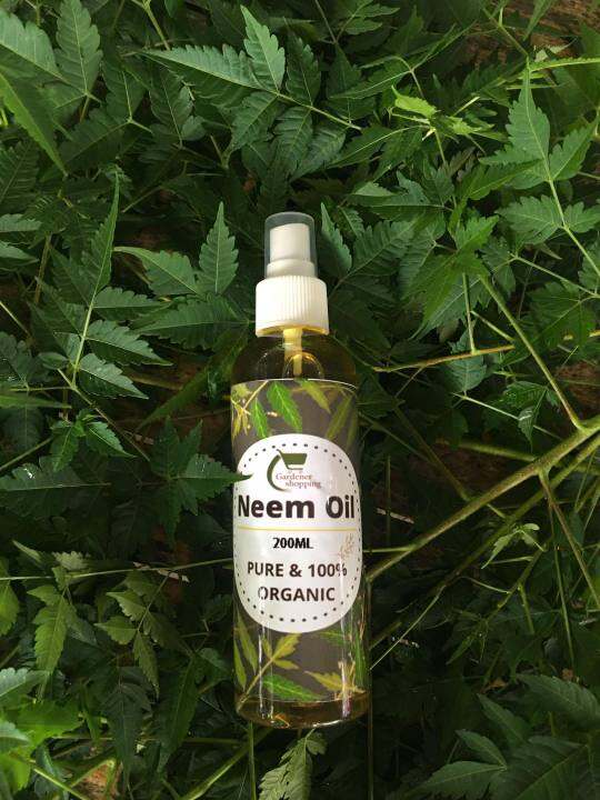 pure neem oil with free neem leaves Lazada PH