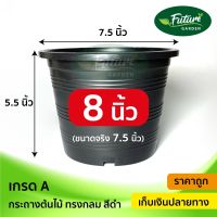 กระถางพลาสติก 8นิ้ว 1 ใบ (ขนาดจริง 7.5 นิ้ว) สีดำเกรดA ราคาถูกมาก