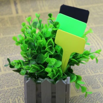 ；【‘； Plastic Nursery Tag Garden Planting Tools Potted Plant Decorative Labels Plant Flowers Identification Card 50 Pcs