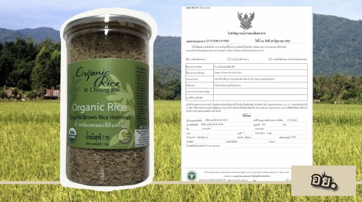 organic-herbs-chiangrai-organic-brown-hom-mali-rice-100-ข้าวกล้องหอมมะลิ-brown-jasmin-rice-100-200-g-or-1kg