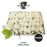 [ยกกล่อง] Somjai Selected ดอกมะลิวันแม่ ดอกมะลิปลอม ดอกมะลิช่อคู่ จำนวน 100 ดอก/กล่อง