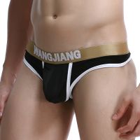 【CW】 Hot Gay Men Panties Men  39;s Silk Thong Brand Clothing Underpants