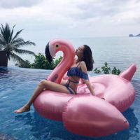 Giant Inflatable Flamingo 60 Inches Unicorn Pool Floats Tube Raft Swimming Ring Baby Water Bed Boia Piscina s Party Toys