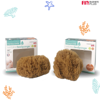 PAPA BABY New NuturalSeaSponge ฟองน้ำธรรมชาติ HONEYCOMB นุ่ม ฟู แห้งง่าย สีน้ำตาล  ไม่ฟอก ทนทาน ORGANIC100% รุ่น USE666