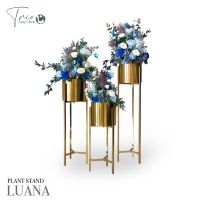 PLANT STAND LUANA Snless Standing Planters ลูน่า