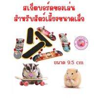 สเก็ตบอร์ของเล่นสำหรับสัตว์เลี้ยงขนาดเล็ก