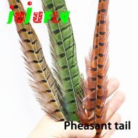 【hot】❈ selected 3feathers 15 long premium fly tying ringneck pheasant tail feathers versatile nymph materials