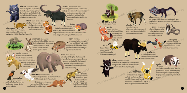 ห้องเรียน-หนังสือสติ๊กเกอร์-สัตว์ป่าเมืองไทย-ให้ความรู้รอบตัวเรื่องสัตว์ป่าในประเทศไทย-หนังสือรางวัล