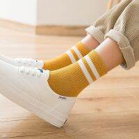 Korean Cotton Striped Socks Soft Cute Solid Sport Casual Hosiery