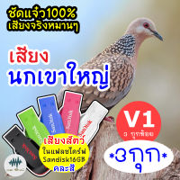 เสียงนกเขาใหญ่ *3กุก* (V1-3กุกห้อย) เมม/แฟลชไดร์ฟเสียงต่อนกเขาใหญ่ มีเก็บเงินปลายทาง ชัดแจ๋ว 100% ไม่มีโฆษณาแทรก (MP3 เสียงต่อสัตว์)