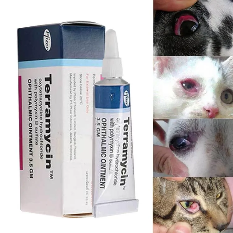 Cat And Dog Eye Ointment Pet Eye Ointment Corneal, 52 OFF