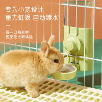 【cw】 Rabbit Kettle Guinea Pig Totoro Water Feeding Large Capacity 600ml Lick Water Bowl Rabbit Guinea Pig Drink Fountain