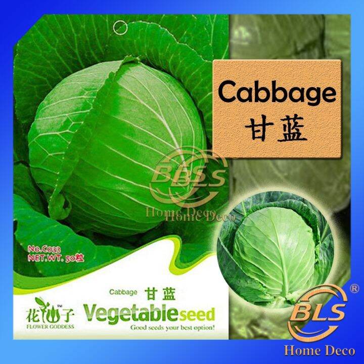 【EXPIRED】BIJI BENIH C033 CABBAGE FLOWER GODDESS VEGETABLE FLOWER FRUIT