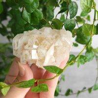 [COD]80 Crystal Garden-Ore Crystal-Fujian sandwich calcite Flakes