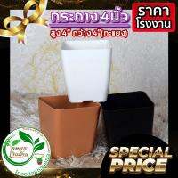 ( Promotion ) สุดคุ้ม [มีส่วนลด 50]กระถาง 4นิ้ว ไร้ขอบ แพ๊ค50,100,200ใบ By.คิม เกษตรเงินล้าน ราคาถูก กระถาง ต้นไม้ พลาสติก กระถาง ต้นไม้ แบบ ยาว กระถาง ต้นไม้ ใน บ้าน กระถาง ปลูก แค ค ตั ส