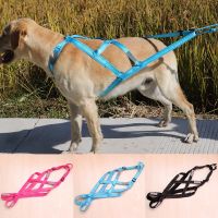 Dog Sled Weight Pulling Harness Pet Mushing Harnesses for Large Work Dogs Training Dog Exercise Bikejoring Skijoring Scootering