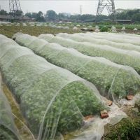 【CW】 Bug Insect Net Vegetables Fruits Flowers Protection Greenhouse Garden Netting SEC88