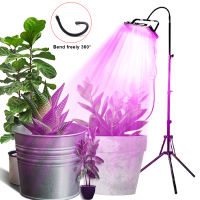 Full Spectrum LED Grow Light With Stand Phyto Lamp With Switch For Greenhouse Hydroponic Plant Height adjustable Growth Lighting