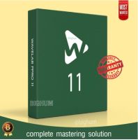 WaveLab Pro 11 ( win/Mac ) ( ทักแชท Read chat )