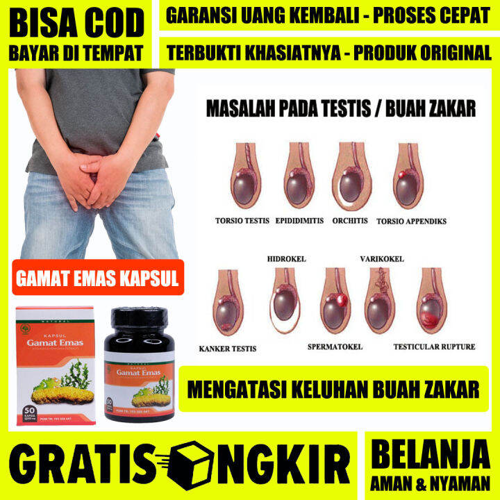 Obat Buah Zakar Bengkak Mr P Bengkak Benjolan Di Buah Zakar Turun Biji