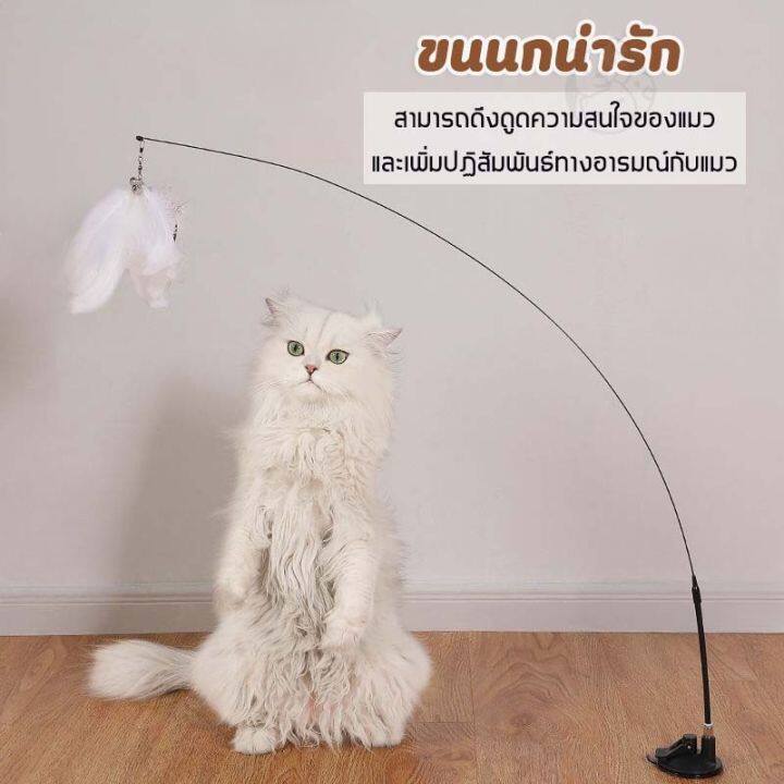 bhq-pet-ของเล่นแมว-ของเล่นล่อแมว-cat-toy-ขนนก-แบบปุ่มดูดสุญญากาศ-ไม้ตกแมว-ไม้แหย่แมว-สําหรับแมว