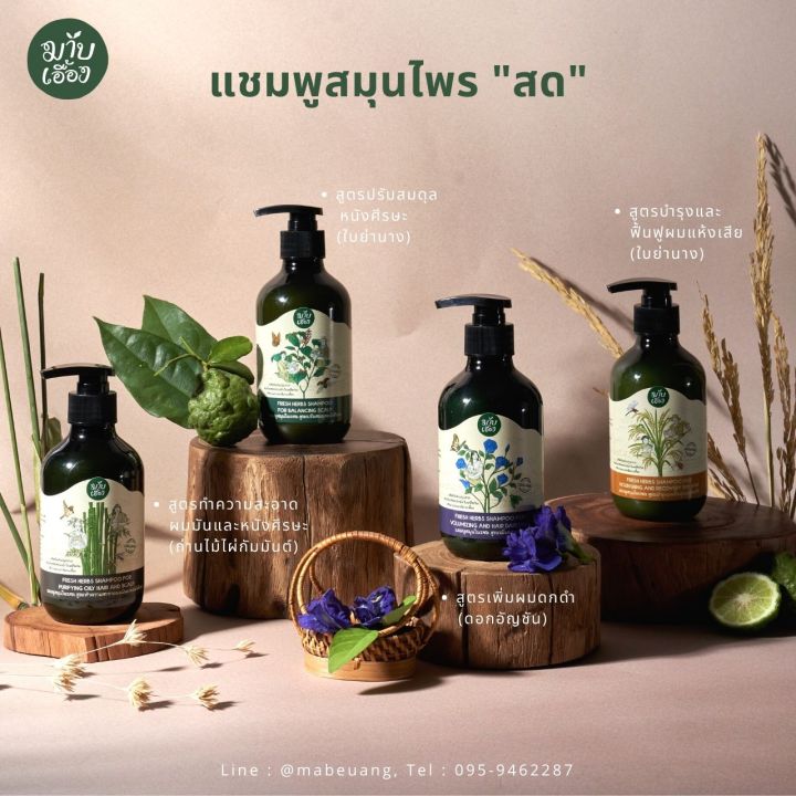 แชมพูสมุนไพรสด-สูตรเพิ่มผมดกดำ-fresh-herbs-shampoo-for-volumizing-and-hair-darkening-แชมพูอัญชัน-แชมพูบำรุงผมดกดำ-มาบเอื้อง