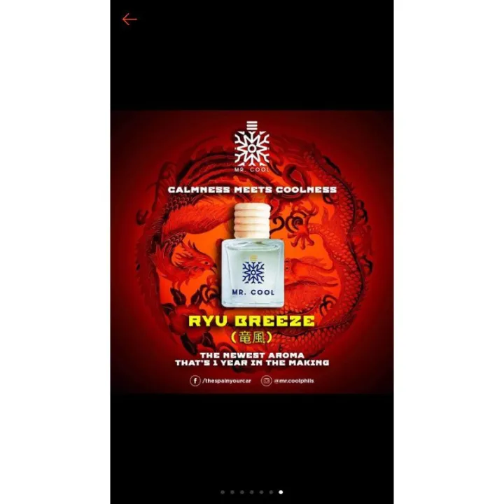 Mr.Cool Car Air Fresheners Lazada PH
