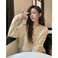 Designed Short Hollow Fringed Long-Sleeved Sweater 2022 Autumn New Niche Chic Cardigan Tops For Women