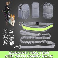 Hands Free Pet Dog Cat Running Jogging Padded Waist Belt Reflective Strip Elastic Leash Perfect Walking Training Dog Leash Set