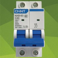 Chint small circuit breaker NXB-63 2P 40A Chint air switch diode C type C40 Chint air switch
