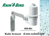 ตัวตรวจจับน้ำฝน Rain Sensor Rain Bird รุ่น RSD-BEx (USA)