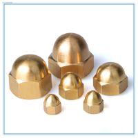 ◊☊ 10pcs M3 M4 M5 M6 M8 Brass Cap Hex Nuts Decorative Dome Head Cover Semicircle Acorn Nut