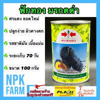 ฟักทอง มรกตดำ 35 ศรแดง ขนาด 100 กรัม เมล็ดพันธุ์ ลอตใหม่ ผิวคางคก เนื้อสีเหลืองส้ม รสชาติมัน เนื้อแน่น น้ำหนัก 3-4 กก. อายุ 70-75 วันหลังหยอด