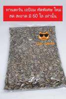 ทานตะวัน เอป้อม  คัดพิเศษ ไหม่ สดสะอาด มีแค่ 60 โลเท่านั้น บรรจุ 1 กก. ต่อถุง อาหารนกแก้ว หนู สัตว์ฟันแทะ ต่างๆ