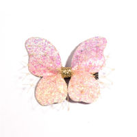 10pcslot Princess Lovely Hair Bows For Girls Bling Glitter Hair Clip Lace Butterfly Hairpins Swallowtail Hair Accessories