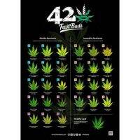 [ready stock]Poster โปสเตอร์FastBuds420 แปะผนังหรือเต๊นปลูก&amp;สติ้กเกอร์420แพ็คเกจ&amp;420sticker ป้ายปักเขียนระบุสายพันธุ์หรือวันที่มีบริการเก็บเงินปลายทาง