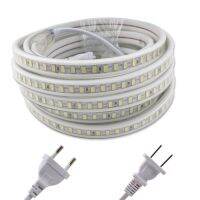 IP67แถบไฟ LED ซึมผ่านไม่ได้ SMD5730 120LED/M Bianco Caldo 220 V แถบไฟ LED เทป Diodo แบบไม่ซึมผ่านแถบไฟ Cucina Soggiorno Lampada