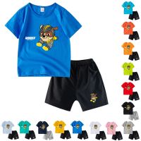 เสื้อยืดแขนสั้น ผ้าฝ้าย 100% พิมพ์ลายการ์ตูน Paw Patrol 8 สี และกางเกง สําหรับเด็ก CA032