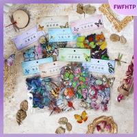 FWFHTP 320pcs สัตว์เลี้ยงสำหรับสัตว์เลี้ยง สติกเกอร์ติดผนัง หลากสี สติกเกอร์รูปผีเสื้อ สติกเกอร์ตกแต่งลาย สติกเกอร์แมลงปอ ดีไอวาย