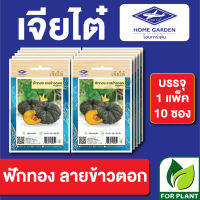 เมล็ดพันธุ์ ผักซอง ฟักทองลายข้าวตอก ตราเจียไต๋ บรรจุแพ็คล่ะ 10 ซอง ราคา 70 บาท