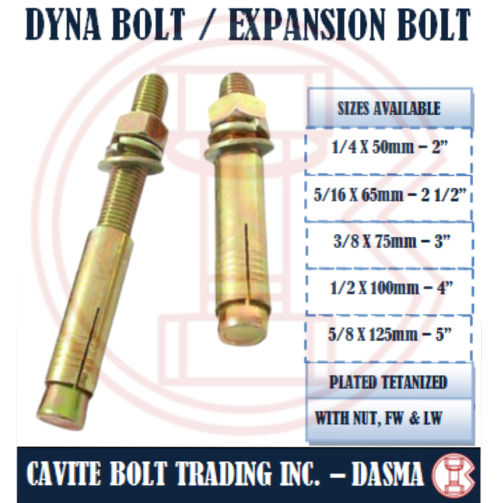 DYNA BOLT / EXPANSION BOLT (10 PCS) Lazada PH