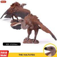 [AhQ ornaments] Oenux Raptor Cinereous Vulture Figurines นกสัตว์ Action Figure นกฮูก Vulture Collection ของเล่นเพื่อการศึกษาสำหรับเด็ก