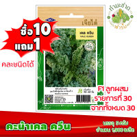 (ซื้อ10แถม1) เมล็ดพันธุ์ เคล ควีน Kale queen ประมาณ 1,900เมล็ด เจียไต๋ เมล็ดพันธุ์พืช เมล็ดพันธุ์ผัก เมล็ดผัก เม็ดผัก ผักสวนครัว พืชผัก ปลูกผัก