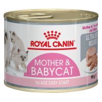 นาทีทองลด 50% แถมส่งฟรี royal canin อาหารแมว 12 กระป๋อง